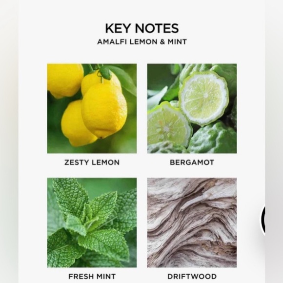 Nest Fragrances New York Amalfi Lemon & Mint 3-Wick Candle 21.1oz New No BOX - Picture 3 of 6